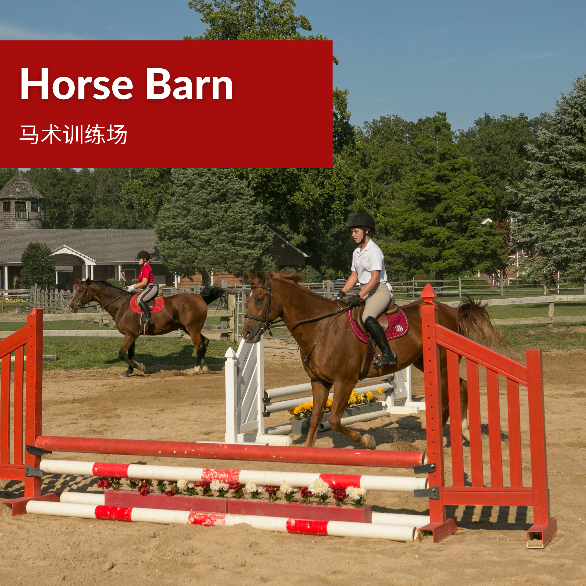 Image of student athlete playing equestrain at Knox, Long Island’s oldest boarding and day school - USA