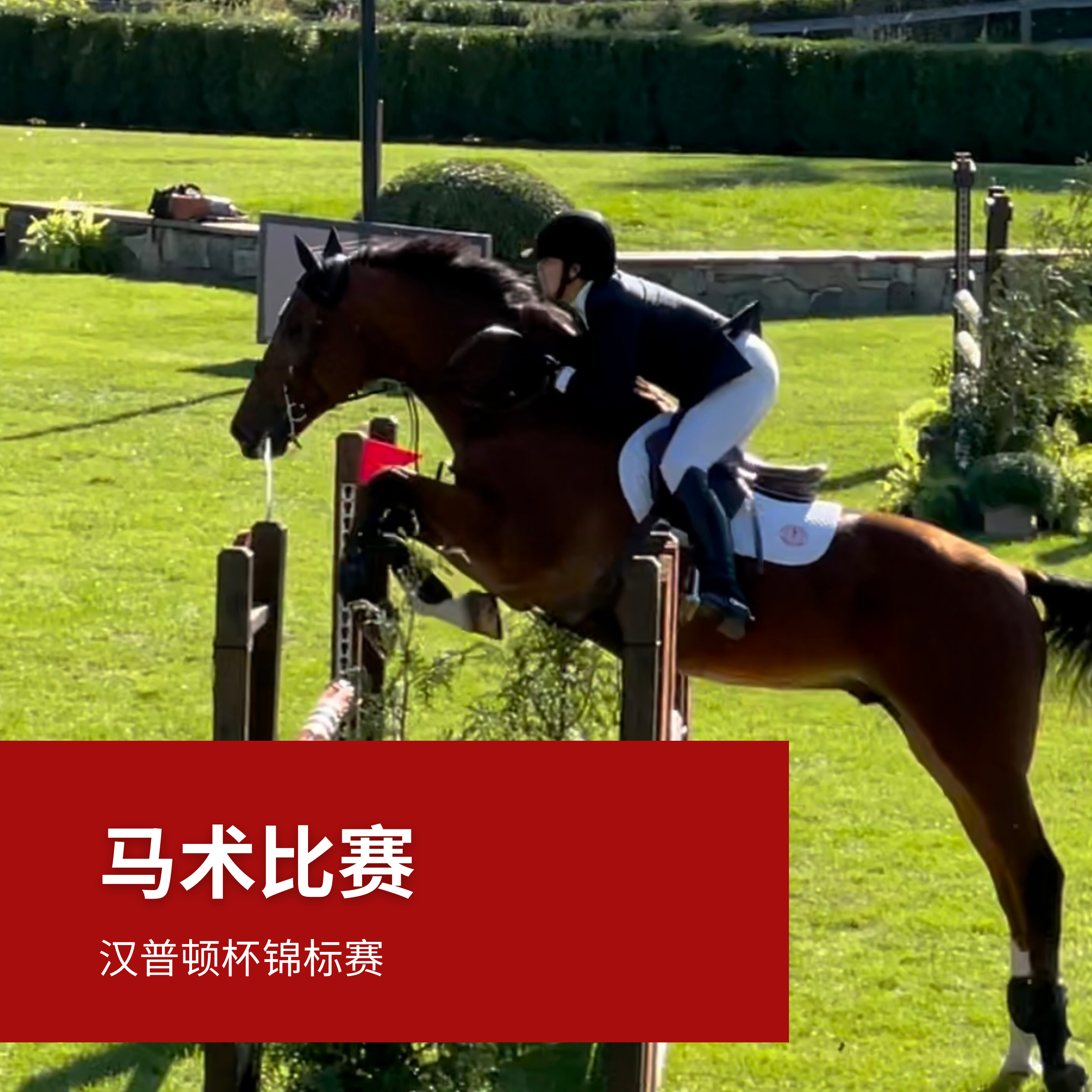 Image of student athlete playing equestrain at Knox, Long Island’s oldest boarding and day school - USA