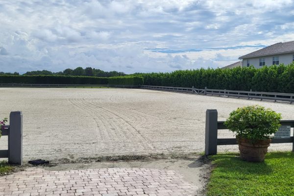 Knox Equestrian