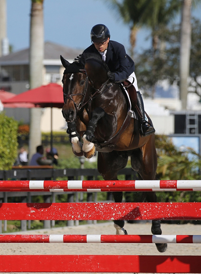 Knox Equestrian