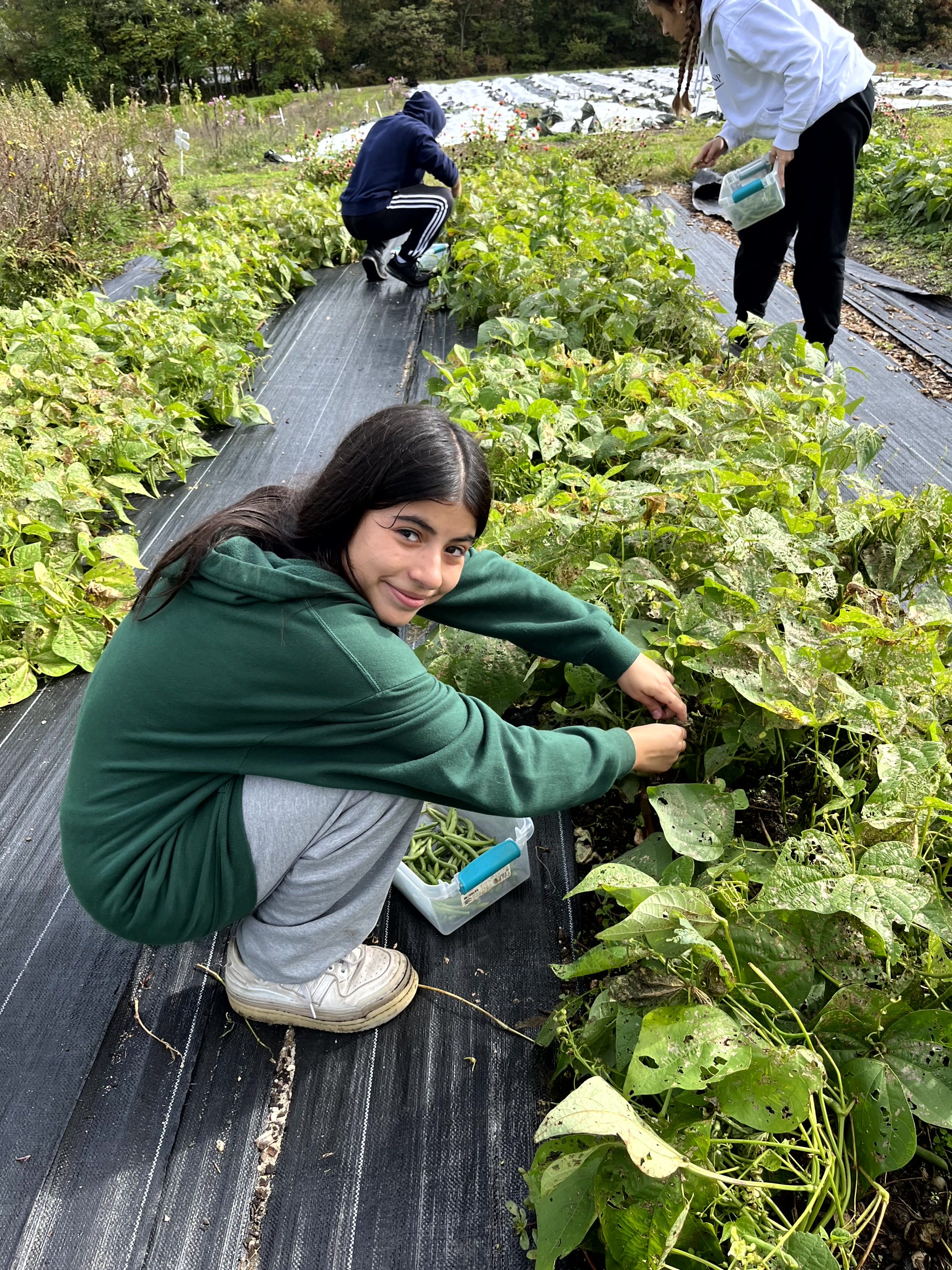 Knox Service Learning - Healthy Harvest Farm