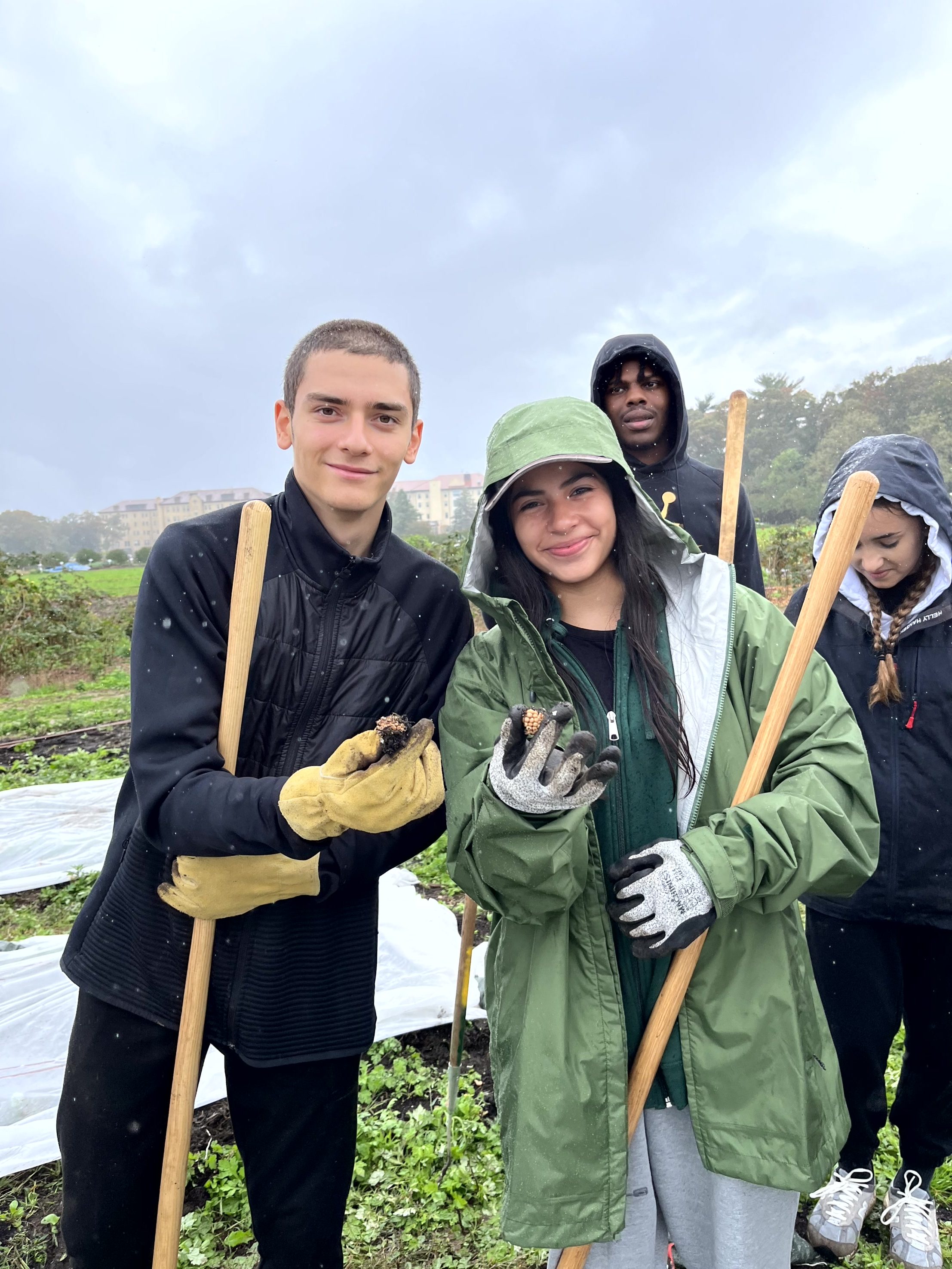 Knox Service Learning - Healthy Harvest Farm