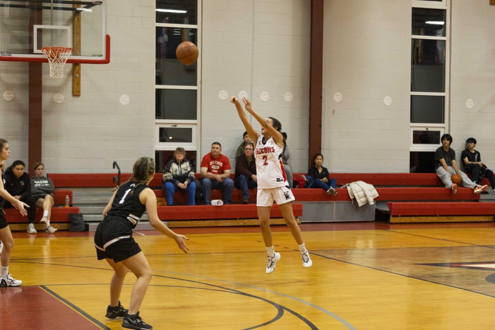 Knox Girls Basketball Action Photos